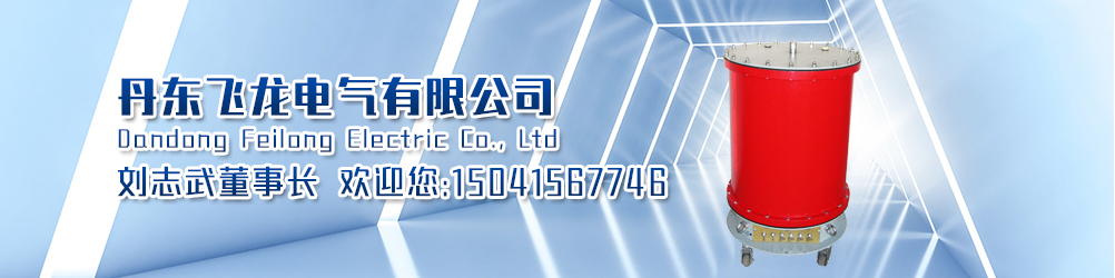 丹东飞龙电气有限公司